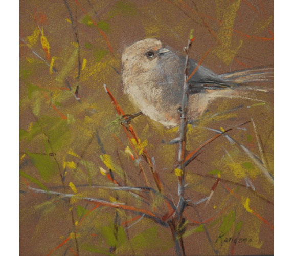 Randena Walsh "Bushtit"